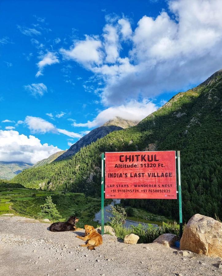 Lap Stays - Wanderer'S Nest Chitkul المظهر الخارجي الصورة