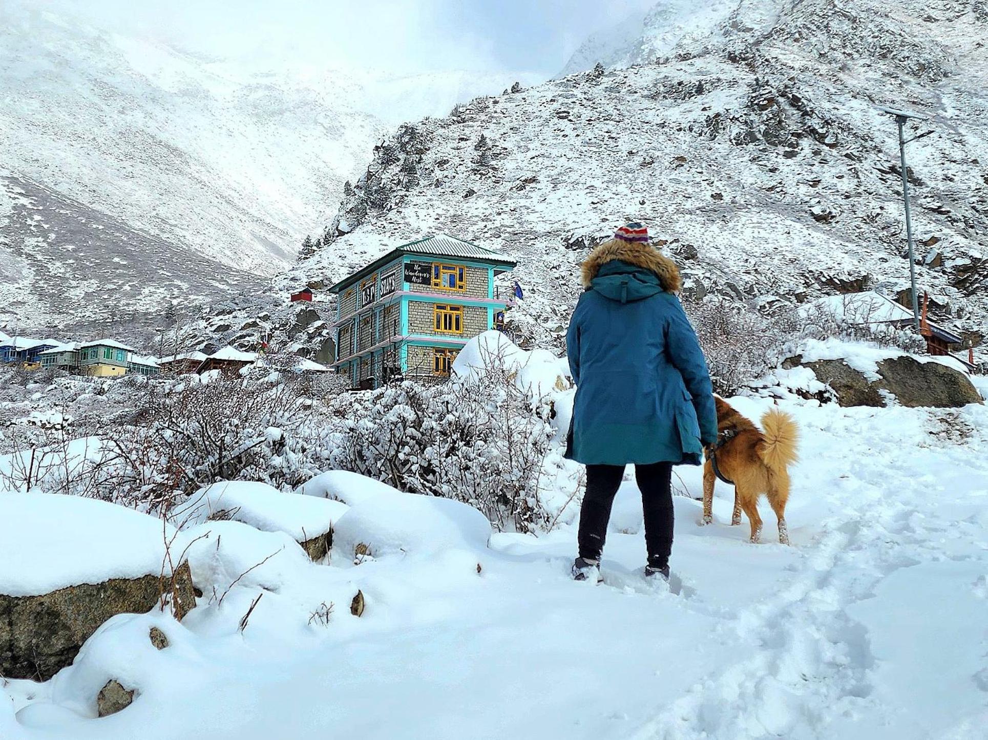 Lap Stays - Wanderer'S Nest Chitkul المظهر الخارجي الصورة